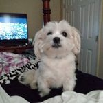Tami Hanks - @nanatami7 - Instagram