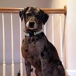 Tami Hayes - @tjhayes2831 - Instagram