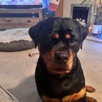 Tami Hayes - @tami_4402 - Instagram