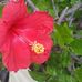 Tami Heiman - Facebook