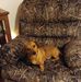 Tami Hensley - Facebook