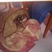Tammy Hensley - Facebook