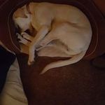 Tami Herron - @tamiherron - Instagram