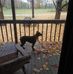 Tammy Herron - Facebook