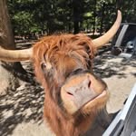 Tami Hill Treu - @hilltreu - Instagram