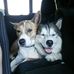 Tami Hillis - Facebook