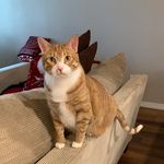 Tami Hodge - @tami5211 - Instagram