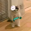 Tammie.Hogan - @mrazciqazpw - TikTok