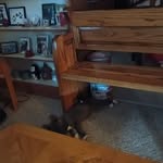 Tami Holder - @tami.holder.790 - Instagram