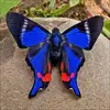 Tami Horn - @tami.horn - TikTok
