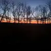 Tammie L. Horne - @tammiel.horne - TikTok
