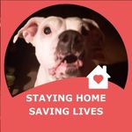 Tami Howard - @tami.howard.9638 - Instagram