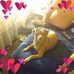 Tami Howard - Facebook