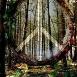 Tami Howell - @tamihowell507 - Instagram