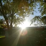 Tami Howell - @tami.howell.501 - Instagram