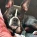 Tammy Howe - Facebook