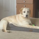 Tammy Hubbard - @tammy.hubbard.735 - Instagram