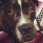 Tami Hudson - @tami.hudson.395 - Instagram