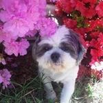 Tami Hudson-Gardner - @tamihudsongardner - Instagram