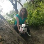 Tami Hummel - @tamihummel - Instagram