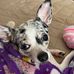 Tami Hurley - Facebook