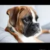 tami hurley - @tamihanmeug - TikTok