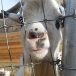 Tami Hurley Marsala - @tamihurleymarsala - Instagram