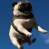 Tamihurleyfromdafuture - @tamifromdafuture - TikTok