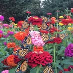 Tammy Hurley - Facebook
