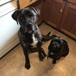 Tammy Berg Hutton - @tammy.b.hutton - Instagram