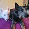 tamihinman - @tamihinman - TikTok