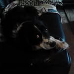 Tami Smith-Irvin - @tams1963 - Instagram