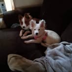 Tammy Isbell - Facebook
