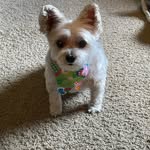 Tami Jahnke - @loves2teach87 - Instagram