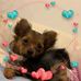 Tammy Janis - Facebook