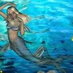 Tami Jansen - @jansentami - Instagram