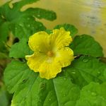 Jayanti Tri Utami - @tami.jayanti - Instagram