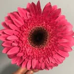Tammi Kaufman - @tammmitha - Instagram