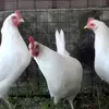Tami Kirby739 - @tamikirby777 - TikTok
