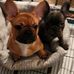 Tammie Michelle Kirby - Facebook
