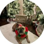 Tami knapp - @ashlinmanorp - Instagram