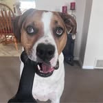Tami Knapp-Uebelacker - @soccer_tricks01 - Instagram