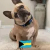 tamiknapp0 - @tamiknapp0 - TikTok