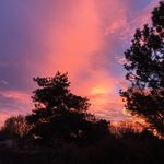 Tami Larson - @tami.l.larson - Instagram