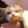 Tami Lee - @tami.lee6 - TikTok