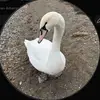 TamiLee - @herglobalempire - TikTok