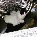 Tamara. W - @tami.lilly - Instagram