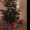 Tami__Lilly - @tami__lilly - TikTok