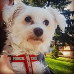 TamiLilly - @tami_lilly781 - Instagram