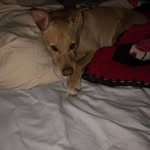 Tami Doyon Mathews - @tamidoyonmathews - Instagram